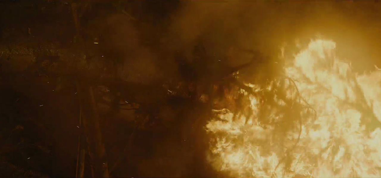 Forest fire by DracoAwesomeness on DeviantArt