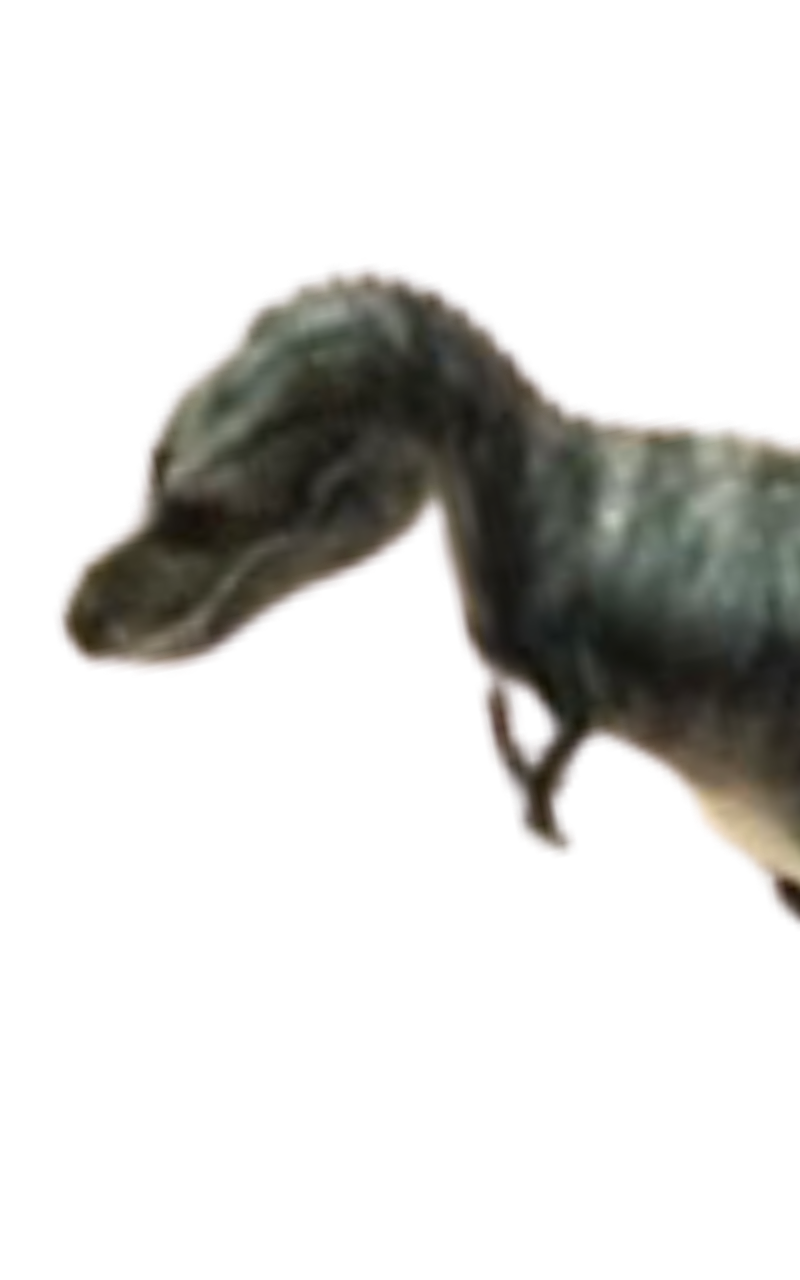 Gorgosaurus by DracoAwesomeness on DeviantArt