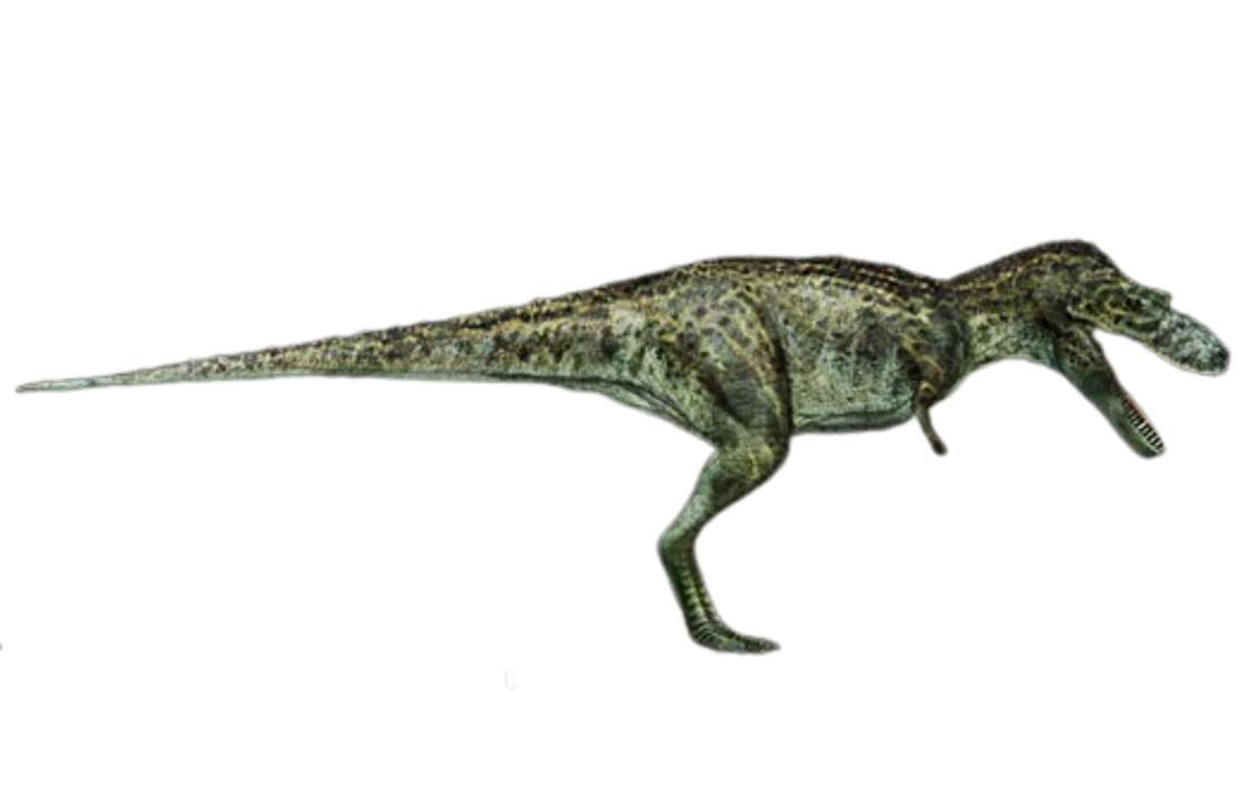 Gorgosaurus by DracoAwesomeness on DeviantArt