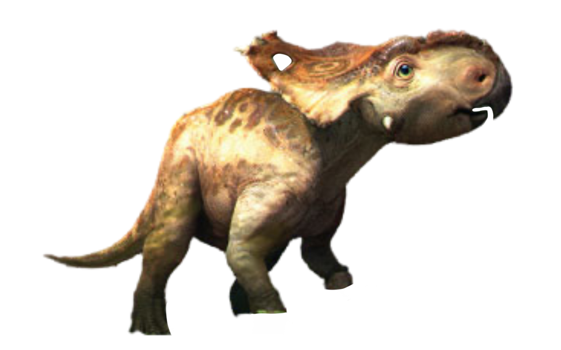 Patchi by DracoAwesomeness on DeviantArt