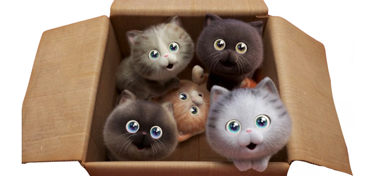 Box of kittens by DracoAwesomeness on DeviantArt