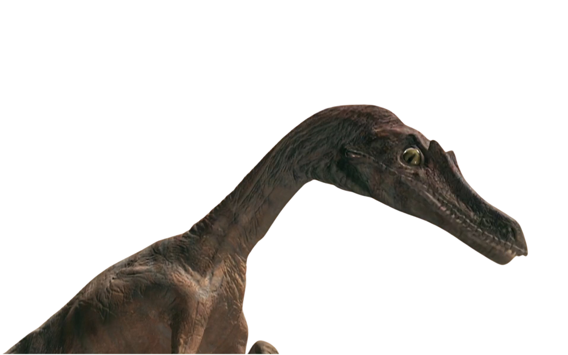 Raptor by DracoAwesomeness on DeviantArt