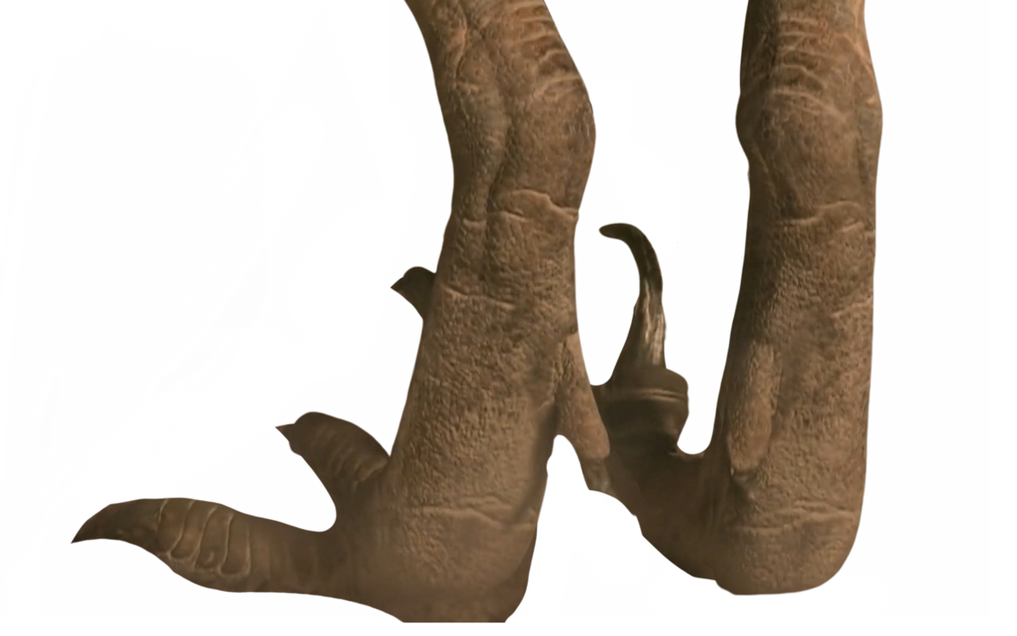 Raptor feet by DracoAwesomeness on DeviantArt