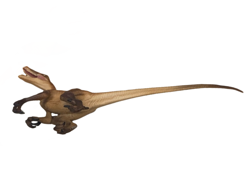Toony Raptor Raptor by DracoAwesomeness on DeviantArt