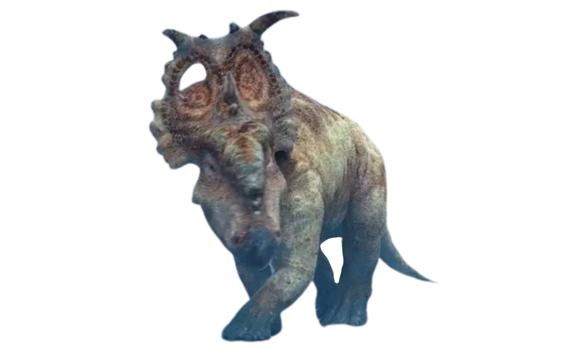 Patchi by DracoAwesomeness on DeviantArt