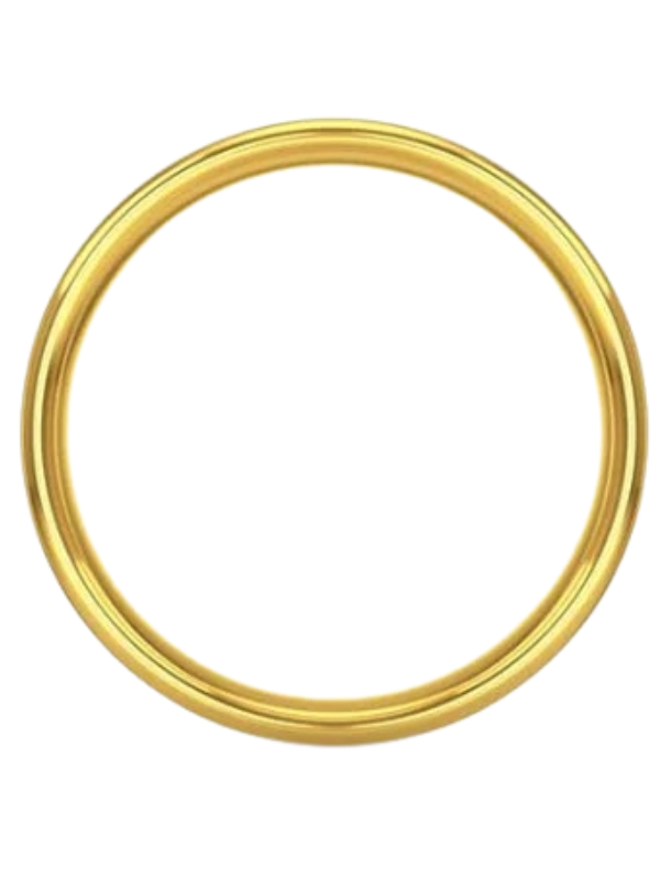 Sonic ring by DracoAwesomeness on DeviantArt