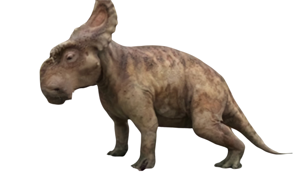Patchi by DracoAwesomeness on DeviantArt