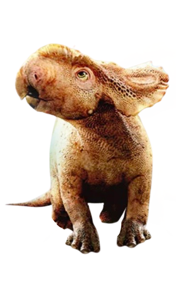 Patchi by DracoAwesomeness on DeviantArt