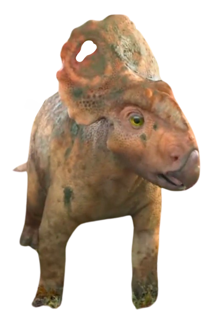 Patchi by DracoAwesomeness on DeviantArt