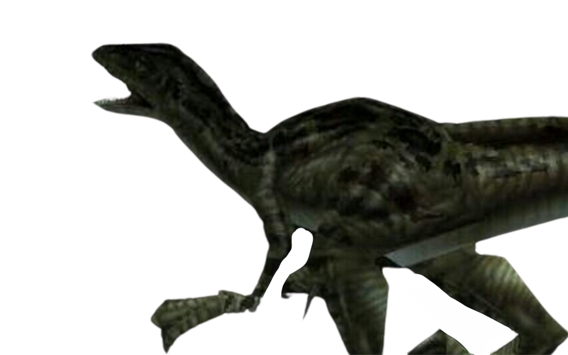 Raptor by DracoAwesomeness on DeviantArt