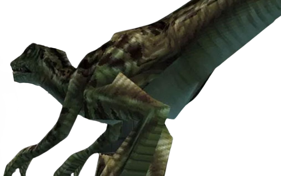 Raptor by DracoAwesomeness on DeviantArt