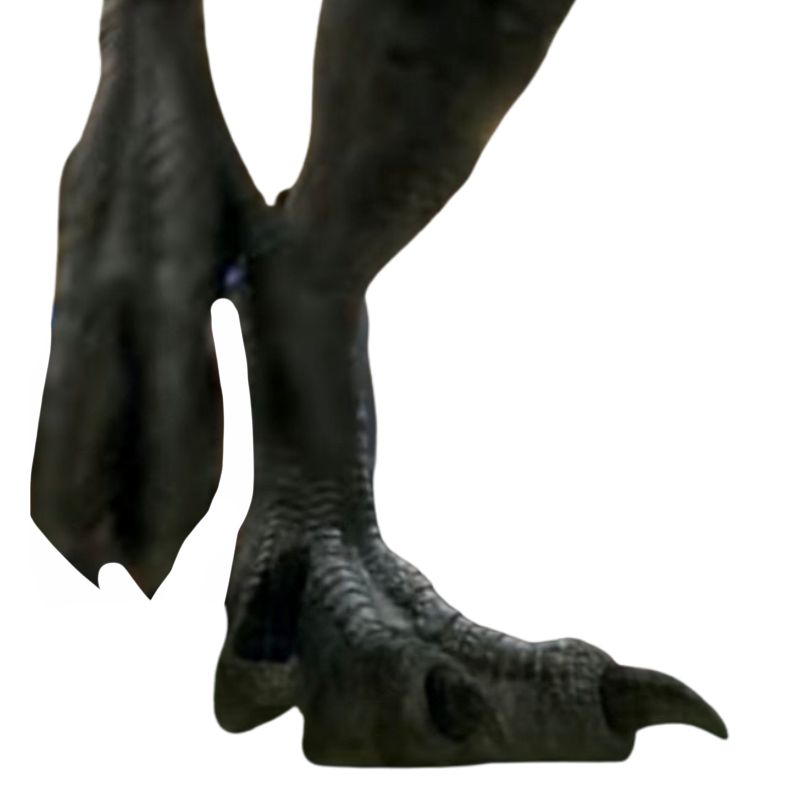 Flat Raptor Feet Raptor feet by DracoAwesomeness on DeviantArt