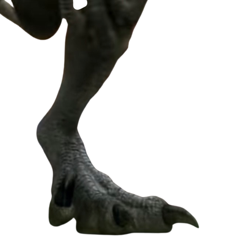 Raptor feet by DracoAwesomeness on DeviantArt
