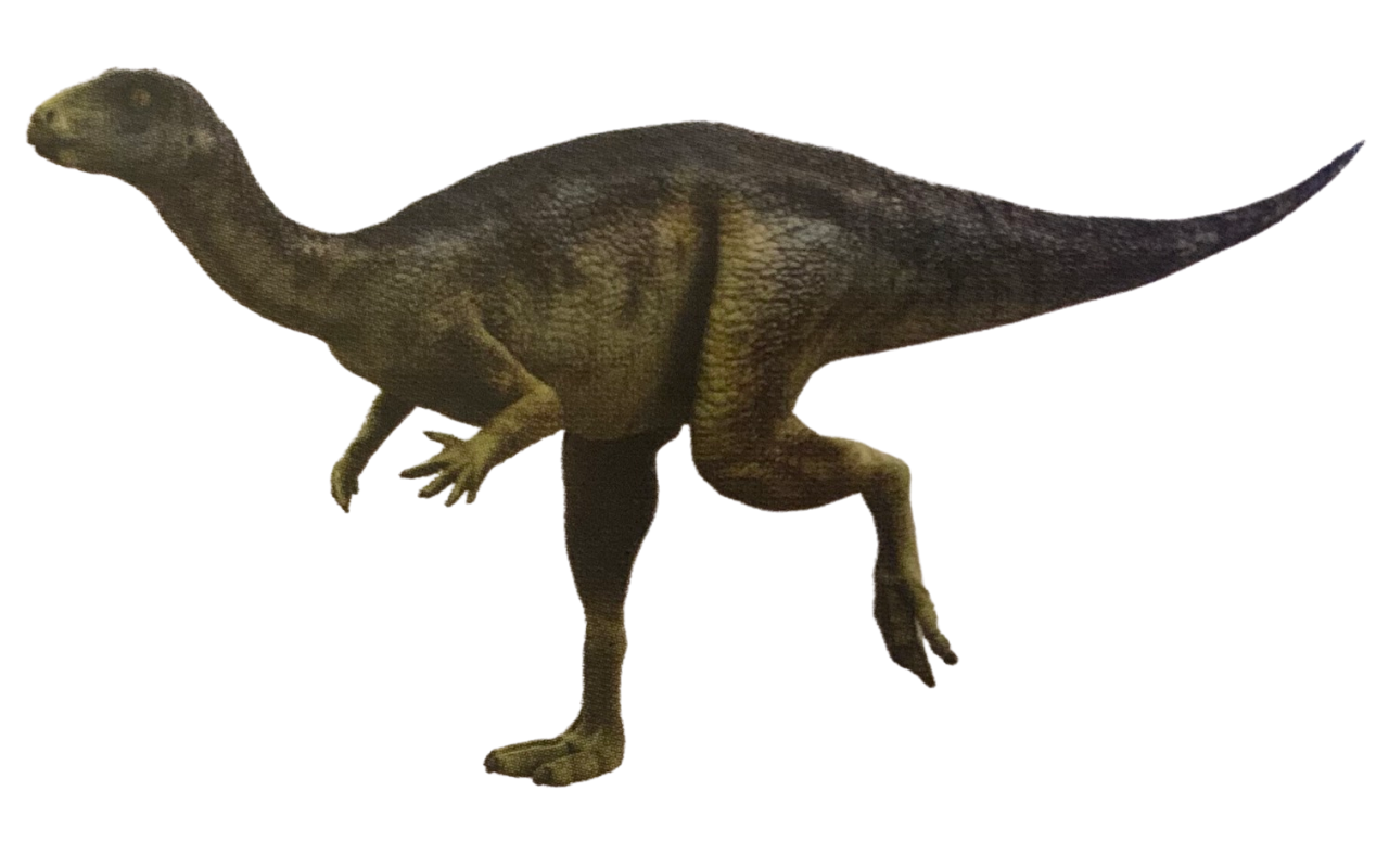 Dryosaurus By DracoAwesomeness On DeviantArt