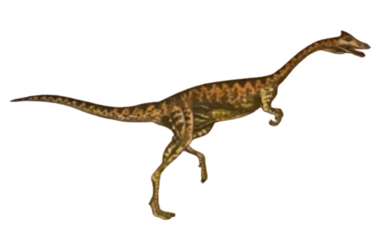 Elaphrosaurus by DracoAwesomeness on DeviantArt