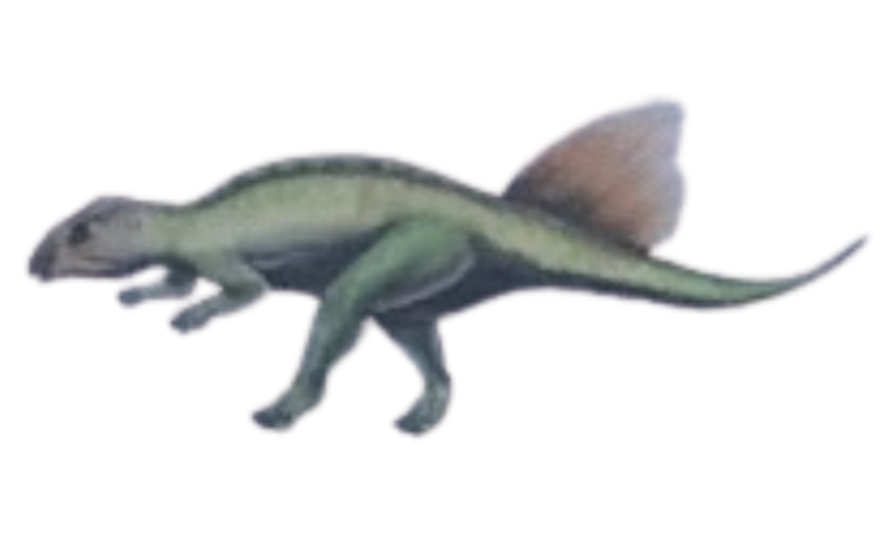 Hongshanosaurus by DracoAwesomeness on DeviantArt