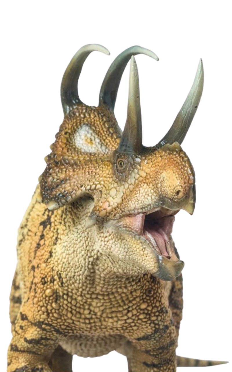 Machairoceratops by DracoAwesomeness on DeviantArt
