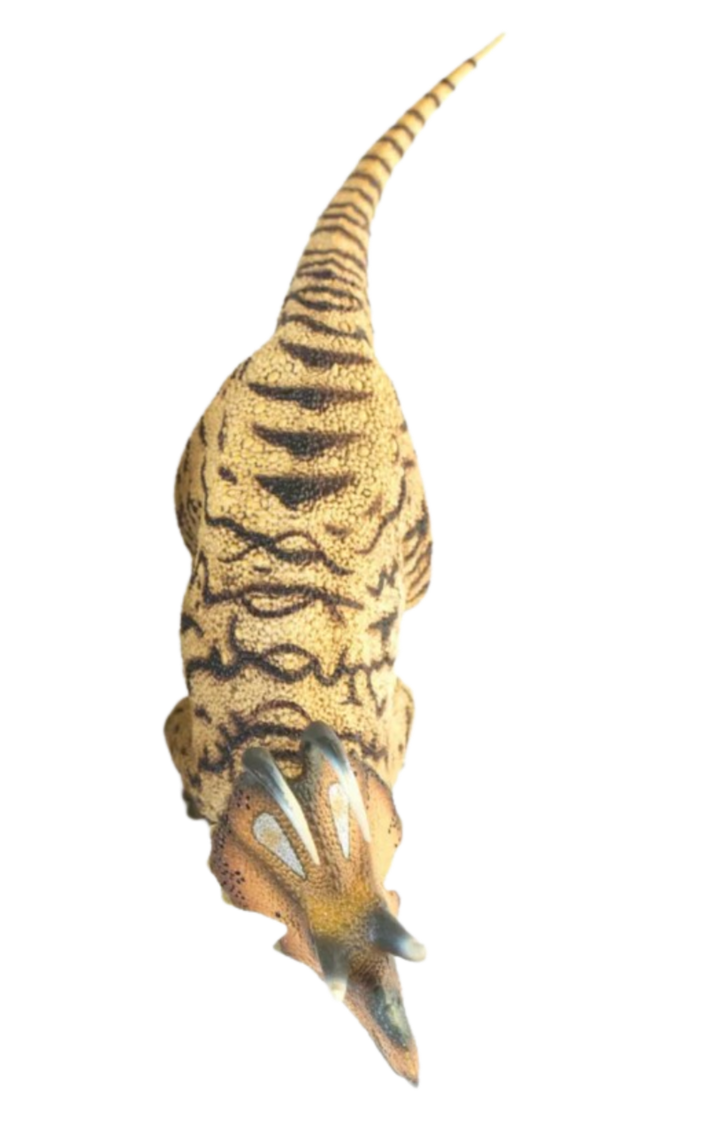 Machairoceratops by DracoAwesomeness on DeviantArt