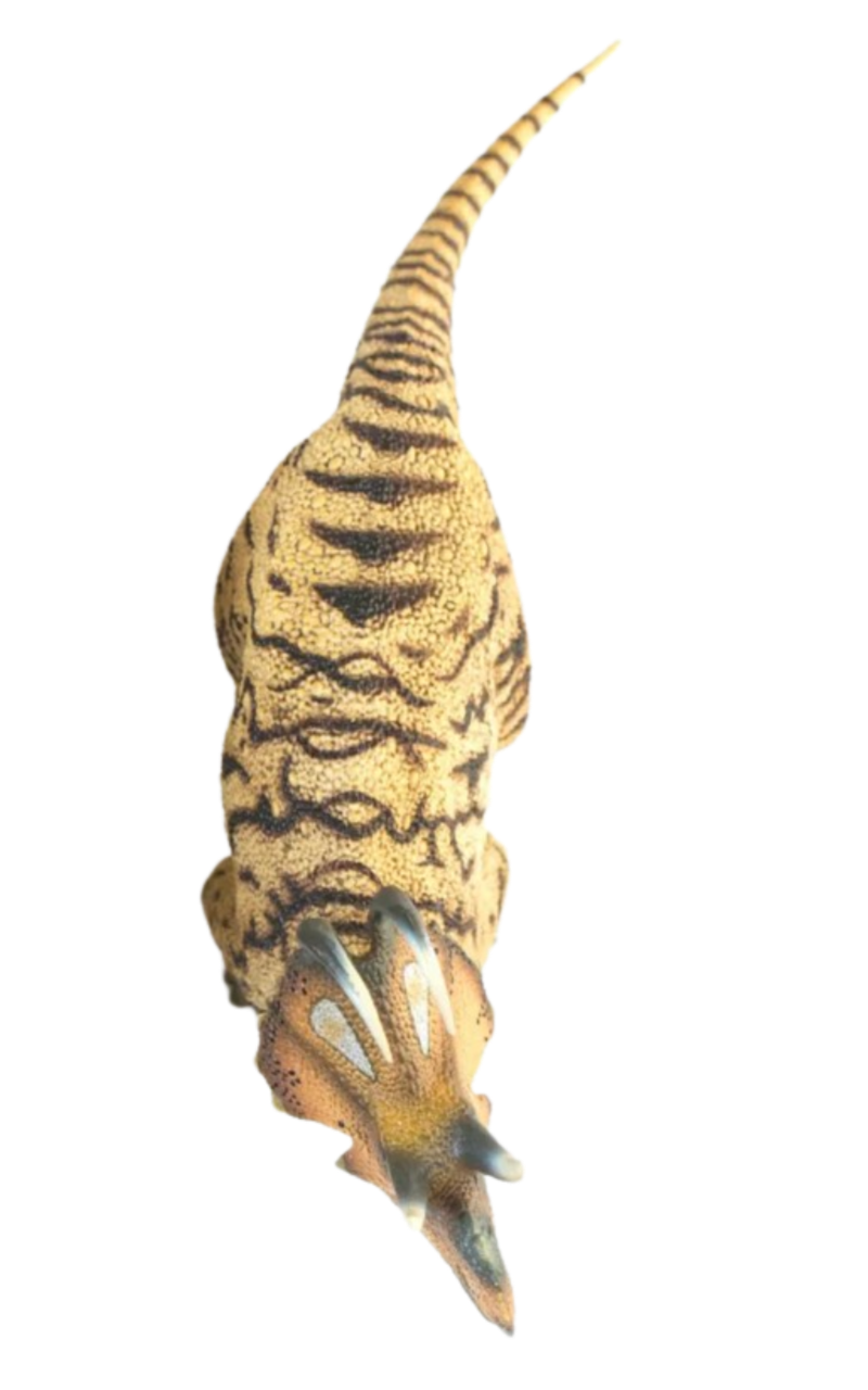 Machairoceratops by DracoAwesomeness on DeviantArt