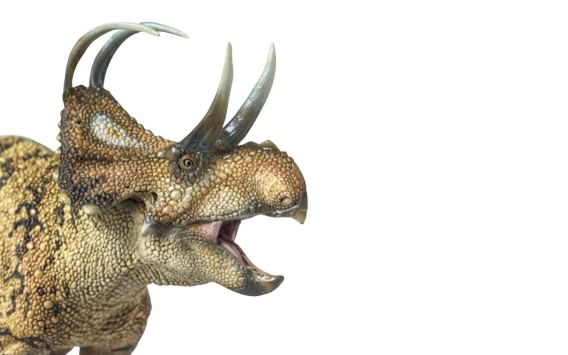 Machairoceratops by DracoAwesomeness on DeviantArt
