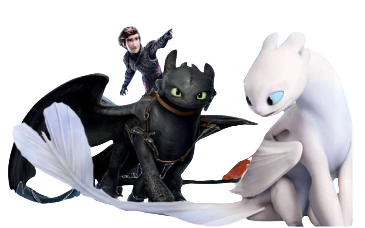 Toothless and light fury by DracoAwesomeness on DeviantArt