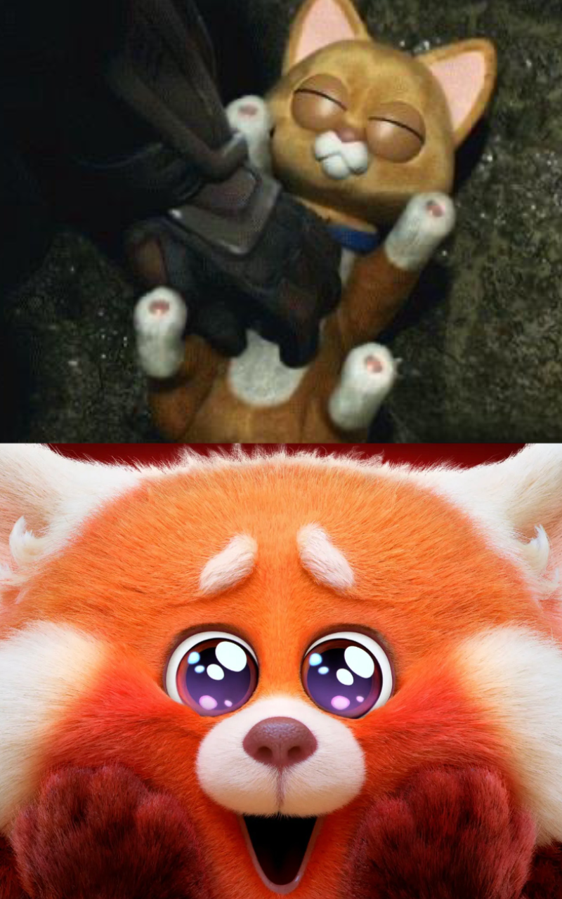 Red panda Mei lee finds Sox cute by Walking-With-Dragons on DeviantArt