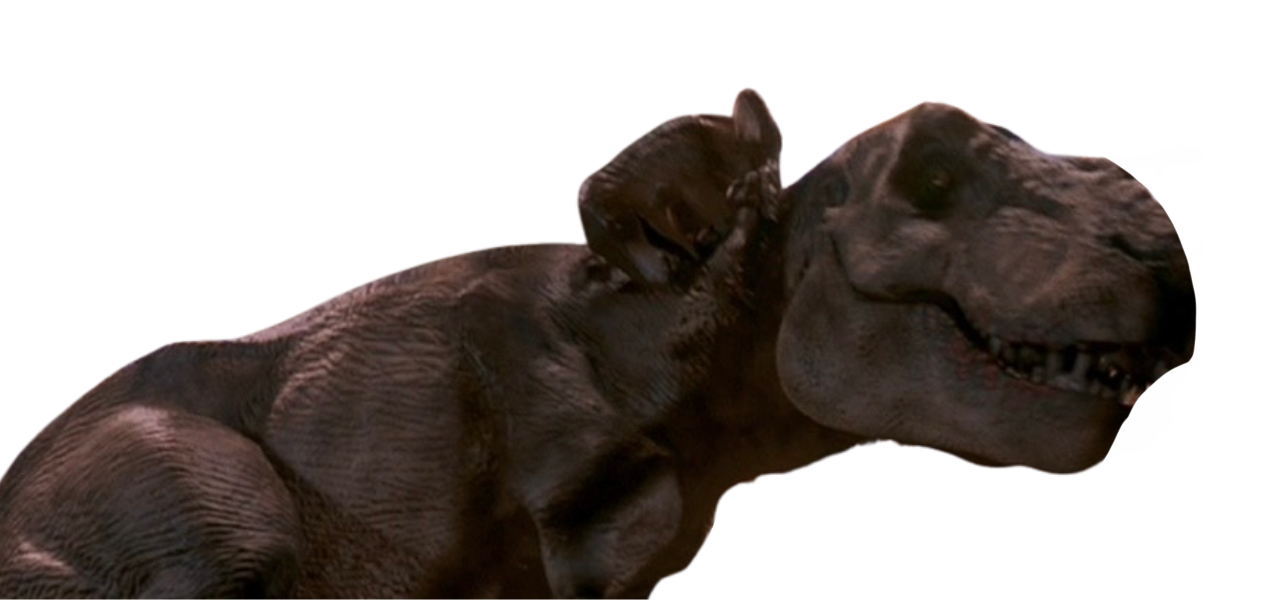 T Rex Raptr T. rex vs raptor by DracoAwesomeness on DeviantArt
