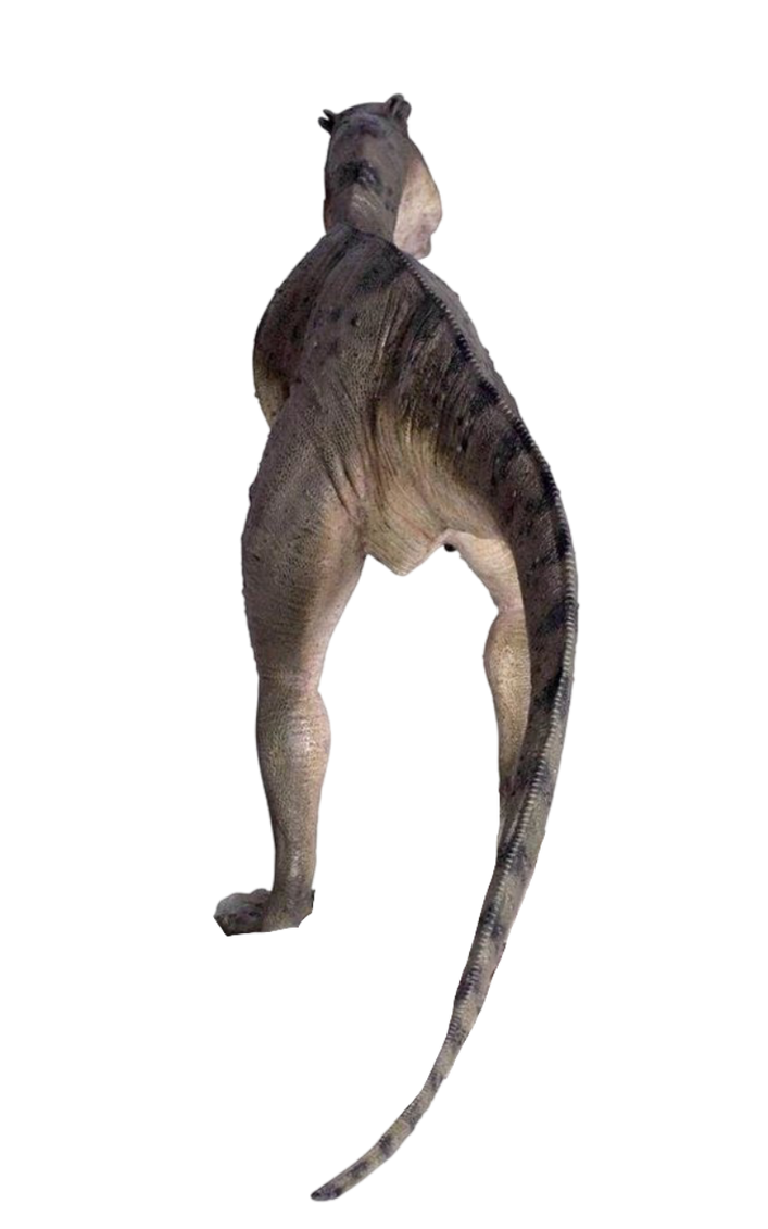 Raptor tail by DracoAwesomeness on DeviantArt