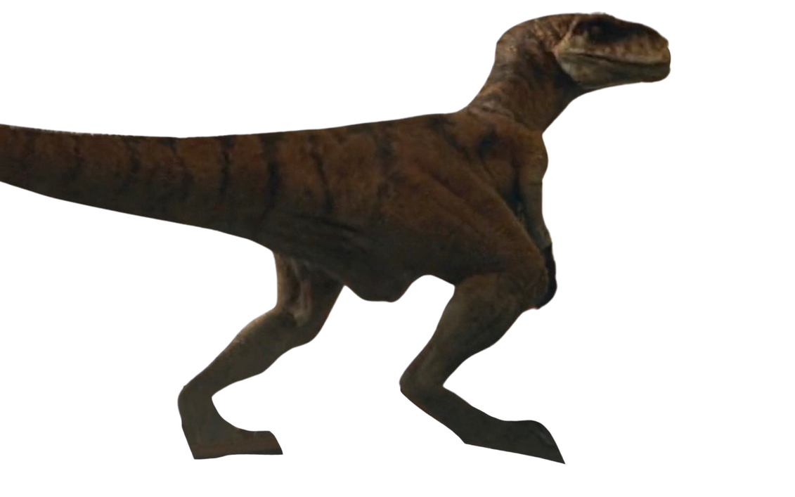 Raptor by DracoAwesomeness on DeviantArt