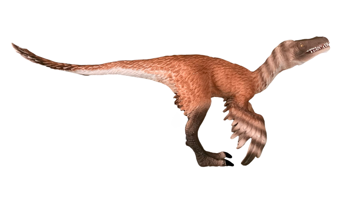 Raptor by DracoAwesomeness on DeviantArt