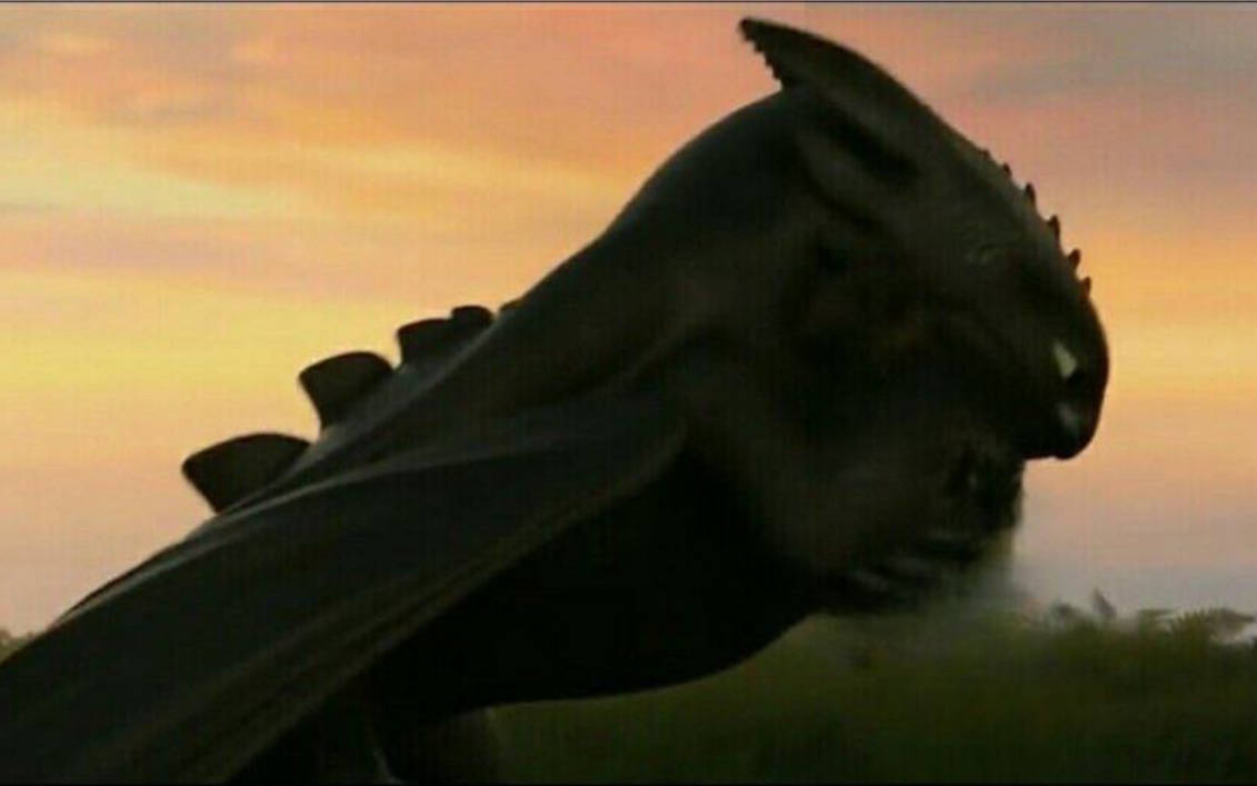 Toothless hugs who by DracoAwesomeness on DeviantArt