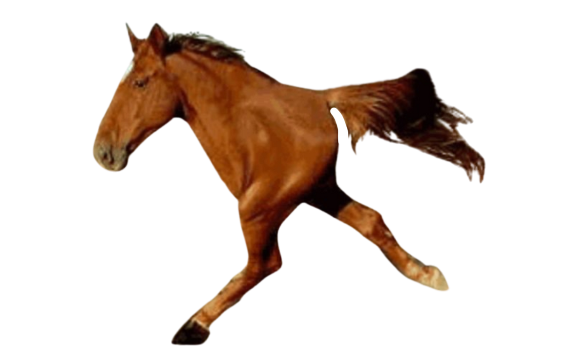 Two legged horse by DracoAwesomeness on DeviantArt