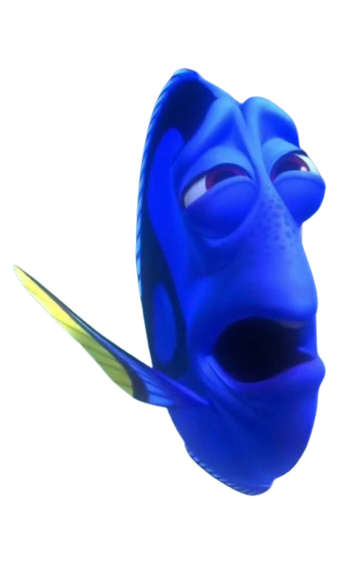 Dory by DracoAwesomeness on DeviantArt