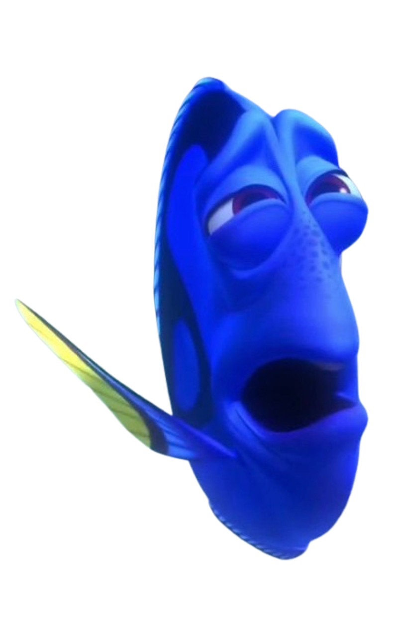 Dory by DracoAwesomeness on DeviantArt