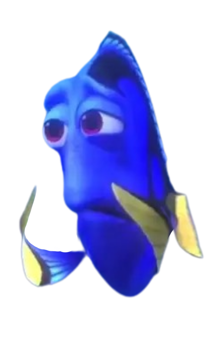 Dory by DracoAwesomeness on DeviantArt