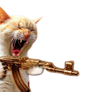 Cat with gun 