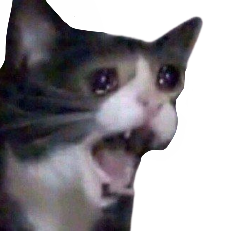 Cat Crying Rabbit Crying cat by DracoAwesomeness on DeviantArt