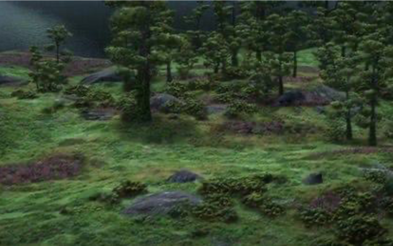 The forest by DracoAwesomeness on DeviantArt