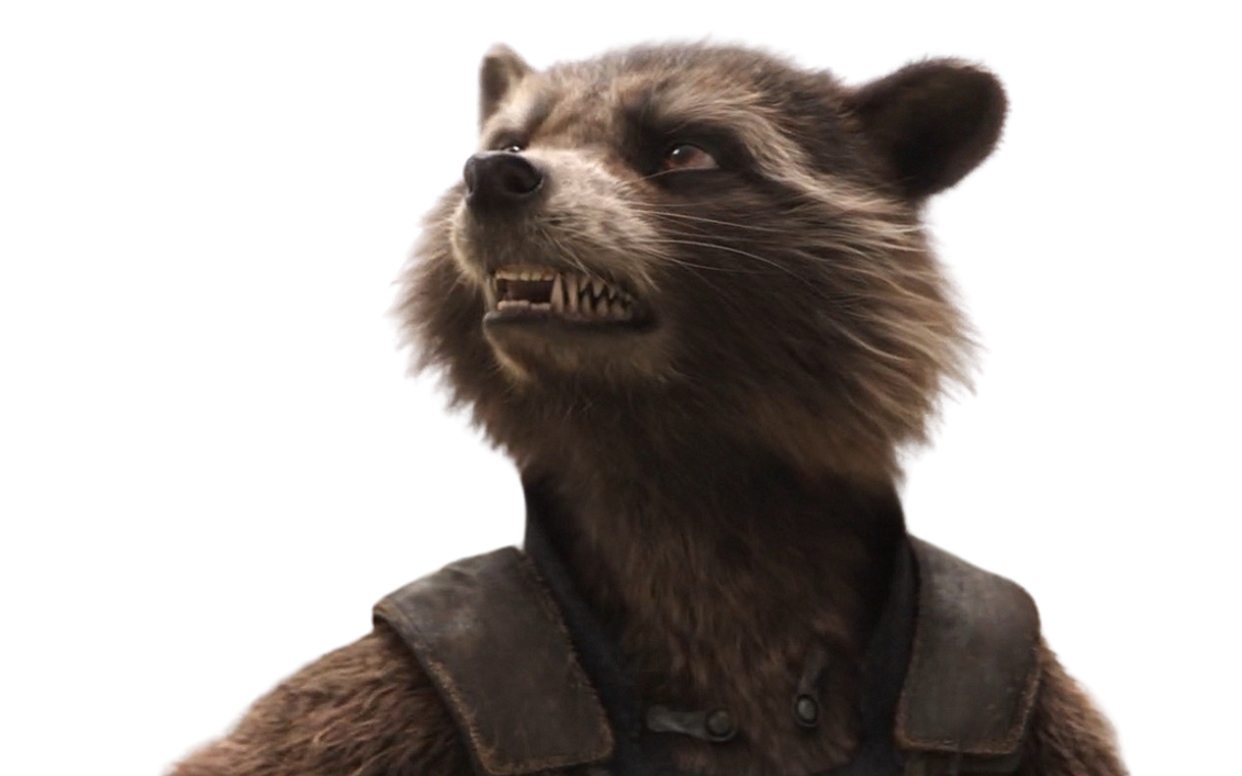 Rocket raccoon by DracoAwesomeness on DeviantArt