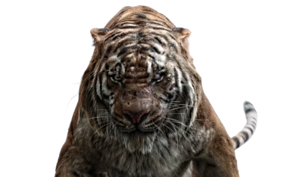 Животное хана. Великий тигр 2015. Шерхан Маугли 2016. Великий тигр Шерхан. Книга джунглей 2016 Шерхан.