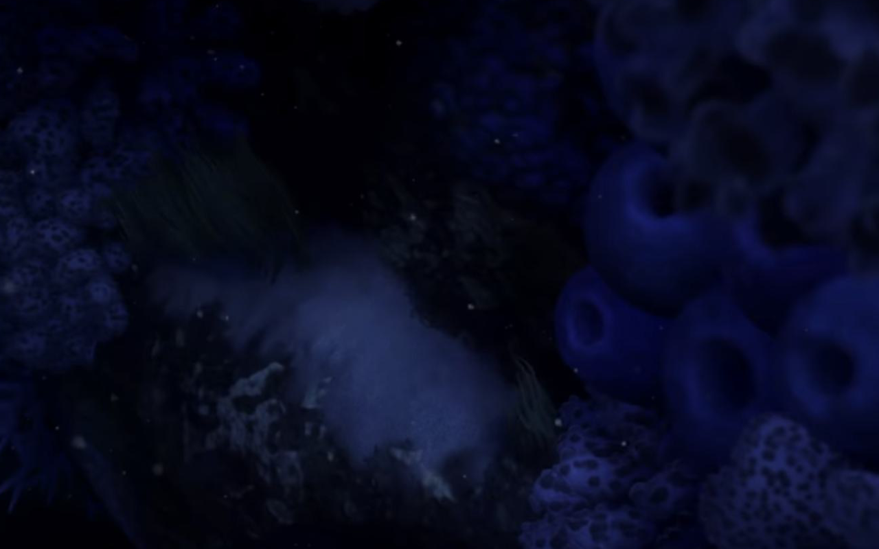 Numoa Background Finding Nemo background by DracoAwesomeness on DeviantArt