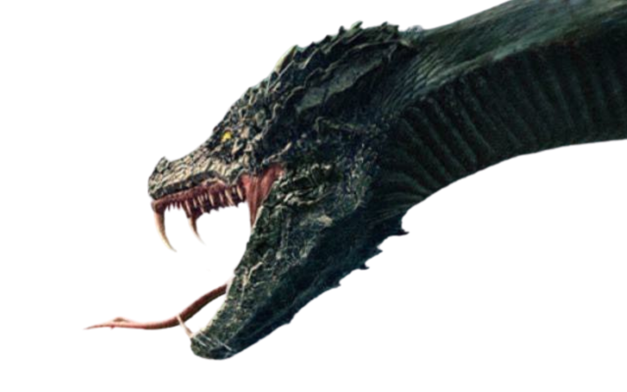 Python by DracoAwesomeness on DeviantArt