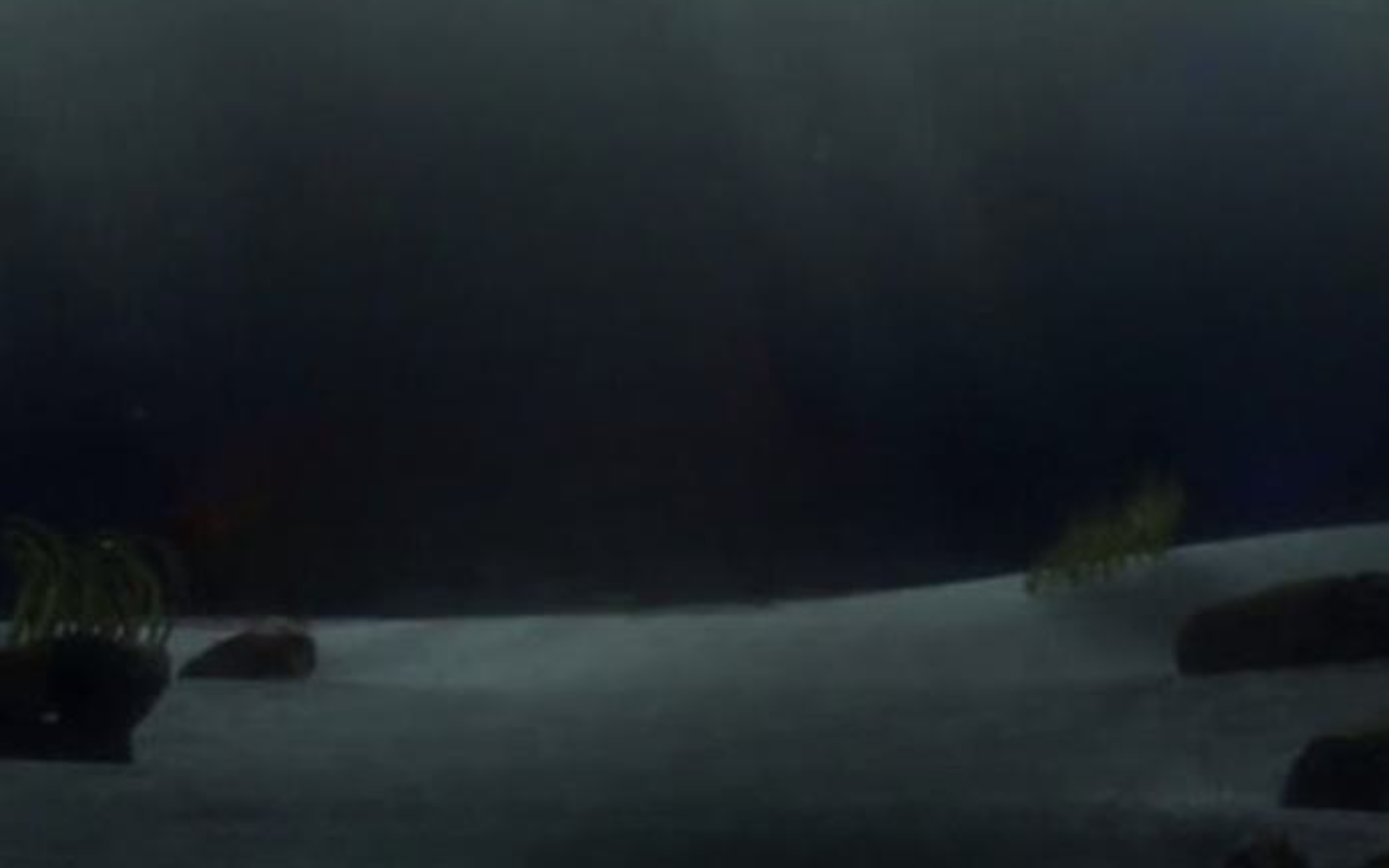 Numoa Background Finding Nemo background by DracoAwesomeness on DeviantArt