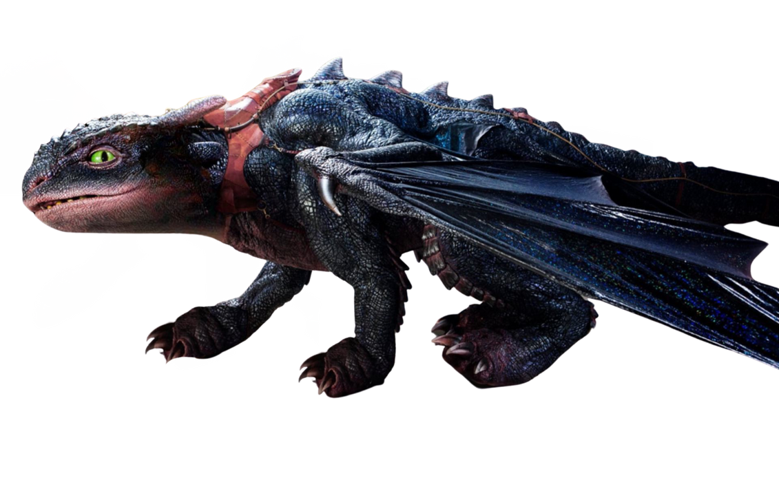 Live action Toothless by Walking-With-Dragons on DeviantArt