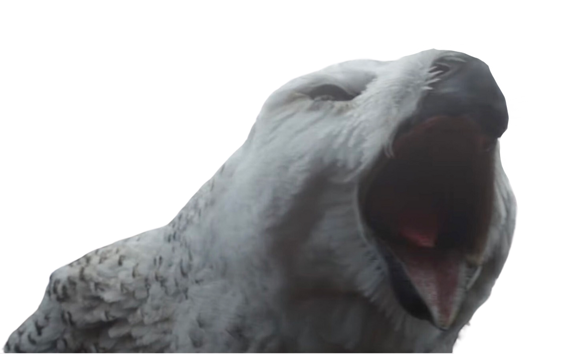 Owl bear by DracoAwesomeness on DeviantArt