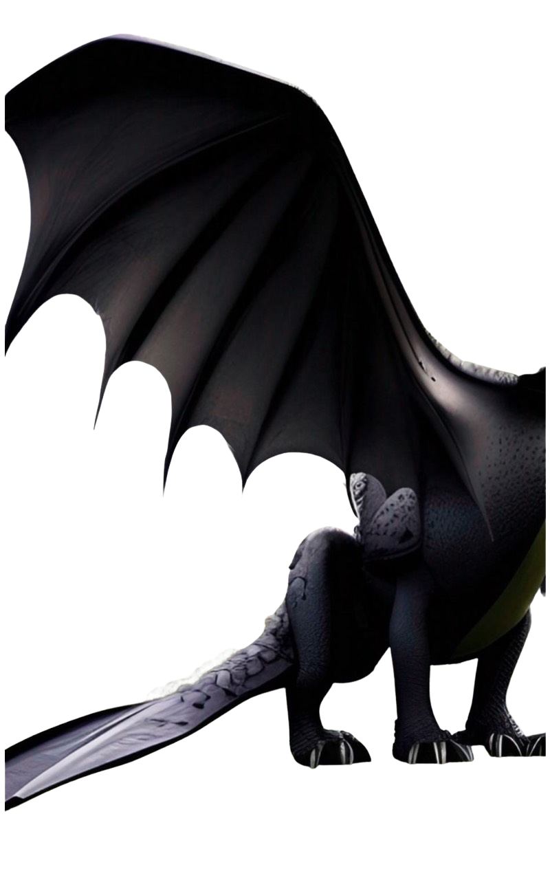 Toothless Wing By DracoAwesomeness On DeviantArt