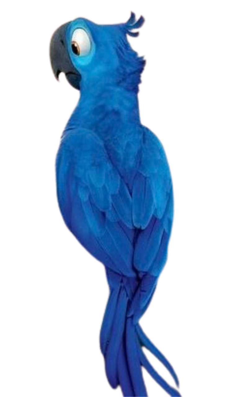 Blue Opila Bird png by Coenisawesome on DeviantArt