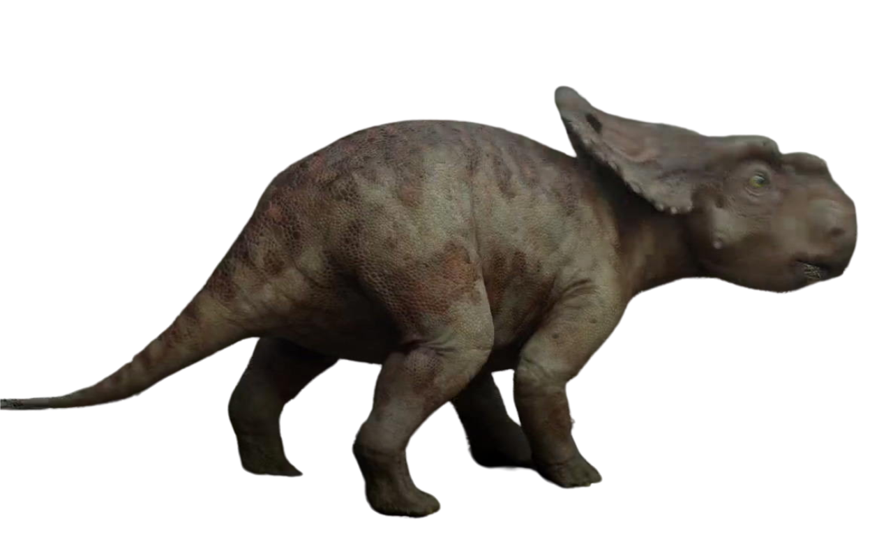 Patchi by DracoAwesomeness on DeviantArt