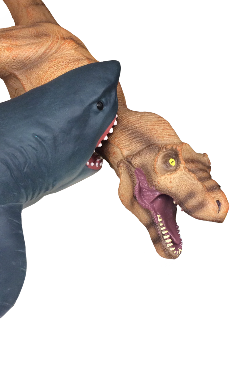 Megalodon Shark Vs T Rex