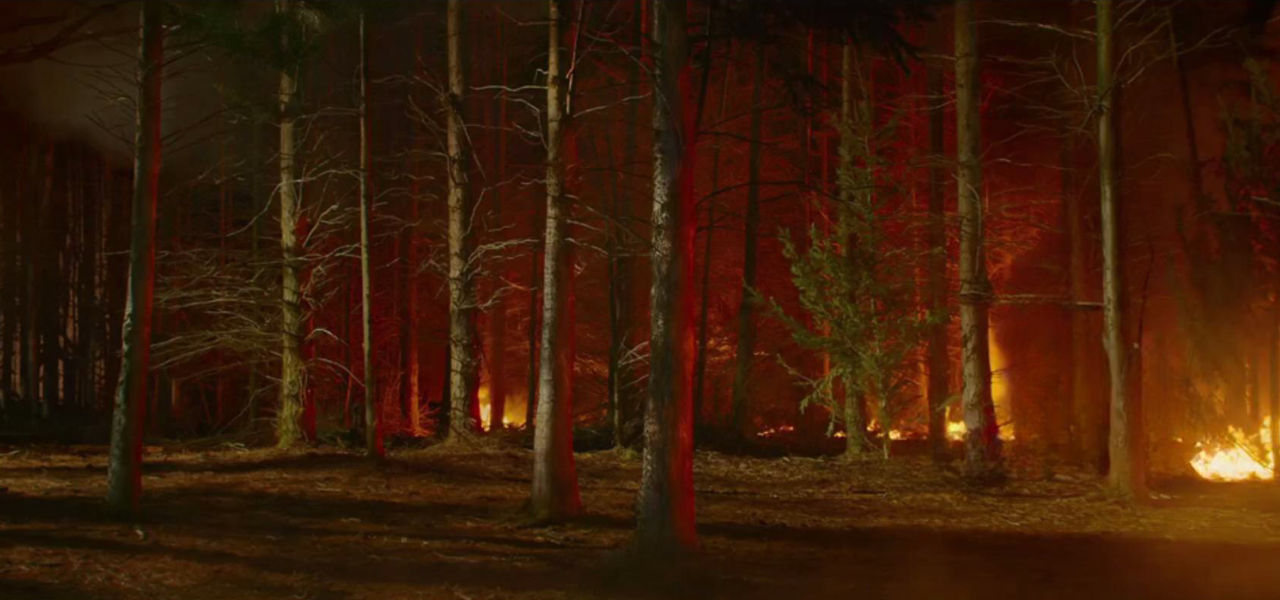 Forest fire by DracoAwesomeness on DeviantArt